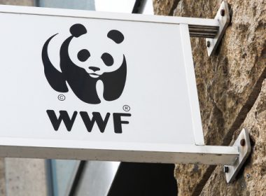 wwf