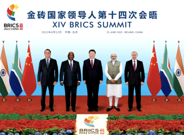 BRICS XIV