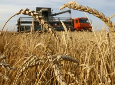 Russia-record-grain-exports