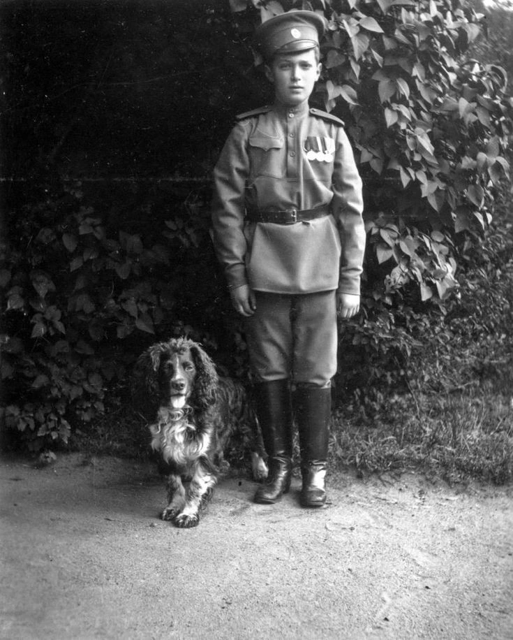 Russian-emperor-stray-dogs